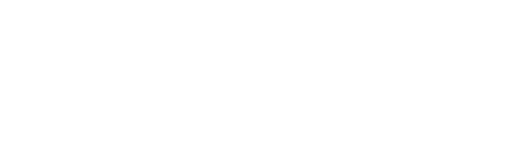 INSECAP